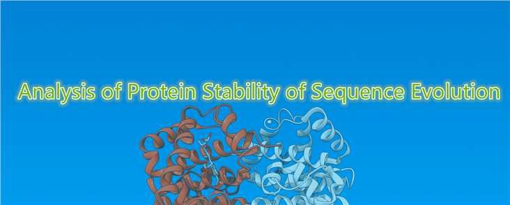 Analysis of Protein Stability of Sequence Evolution.